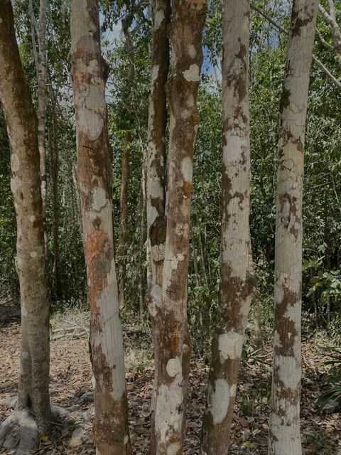 aamondrako OnlyFans - Free Access to 462 Videos & 544 Photos Onlyfans Free Access