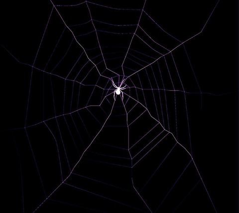 abbybladez OnlyFans - Free Access to 32 Videos & 49 Photos Onlyfans Free Access