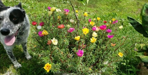 abbylynnz OnlyFans - Free Access to 32 Videos & 114 Photos Onlyfans Free Access