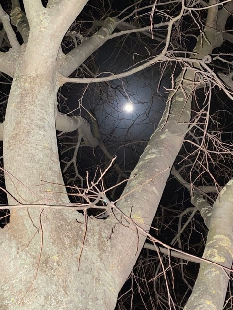 actioncat OnlyFans - Free Access to 32 Videos & 49 Photos Onlyfans Free Access