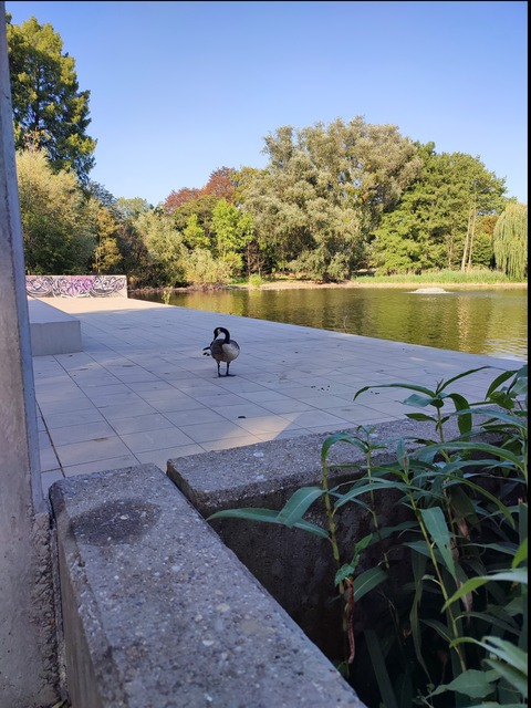 adi_id0lls OnlyFans - Free Access to 32 Videos & 49 Photos Onlyfans Free Access