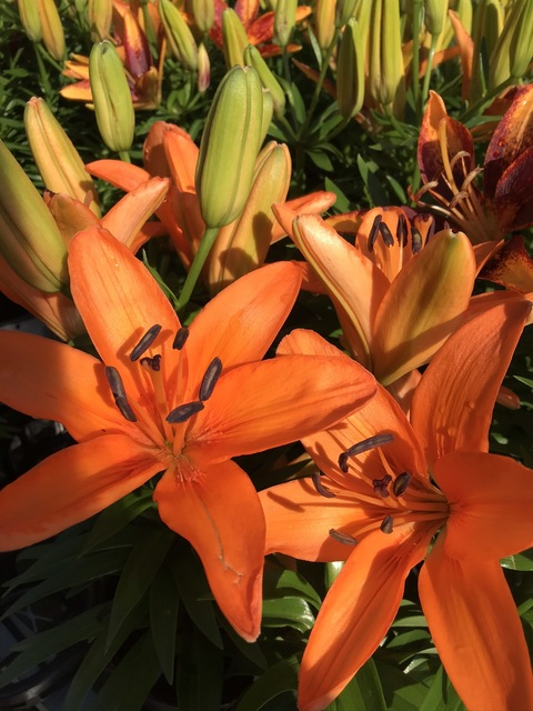 aj0605 OnlyFans - Free Access to 32 Videos & 88 Photos Onlyfans Free Access