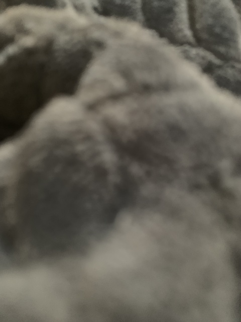 alkibeach87 OnlyFans - Free Access to 32 Videos & 49 Photos Onlyfans Free Access