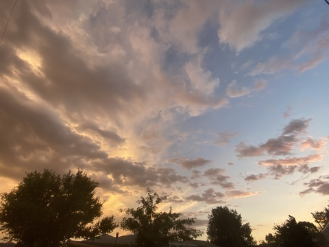 allaboutninjaturtles OnlyFans - Free Access to 32 Videos & 49 Photos Onlyfans Free Access