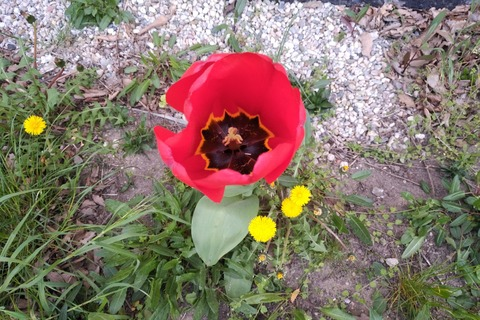 ana_rainbow OnlyFans - Free Access to 32 Videos & 49 Photos Onlyfans Free Access