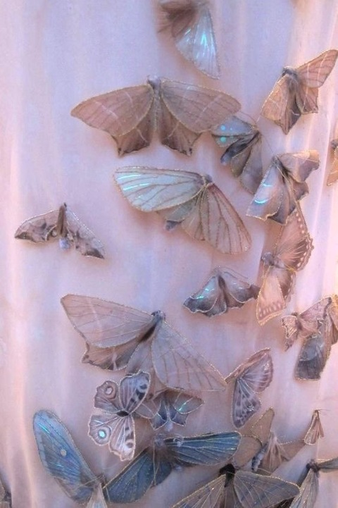 andreitandreita OnlyFans - Free Access to 32 Videos & 49 Photos Onlyfans Free Access