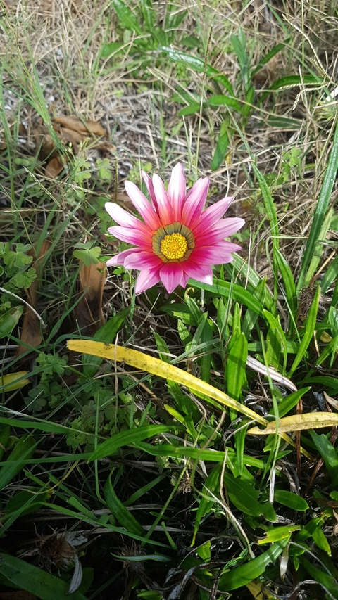 ashes98 OnlyFans - Free Access to 32 Videos & 49 Photos Onlyfans Free Access