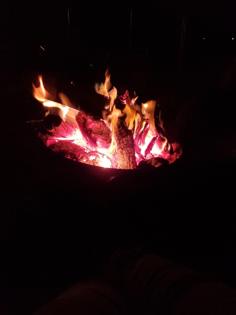 ashycat OnlyFans - Free Access to 32 Videos & 49 Photos Onlyfans Free Access