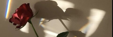 asmrclaudy OnlyFans - Free Access to 32 Videos & 49 Photos Onlyfans Free Access