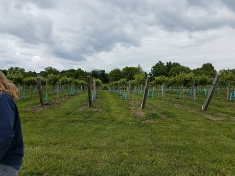 aubreycosateth OnlyFans - Free Access to 32 Videos & 86 Photos Onlyfans Free Access