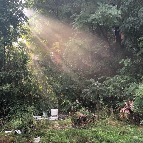 ayyjayymcfae OnlyFans - Free Access to 32 Videos & 49 Photos Onlyfans Free Access