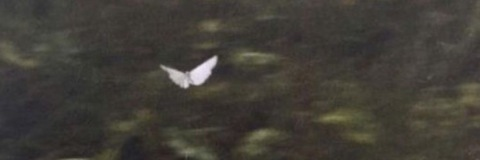 b0rderlinebr4t OnlyFans - Free Access to 32 Videos & 49 Photos Onlyfans Free Access