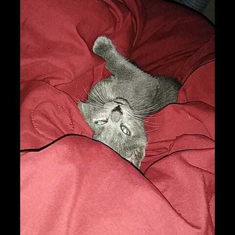 baby-girl25 OnlyFans - Free Access to 32 Videos & 74 Photos Onlyfans Free Access