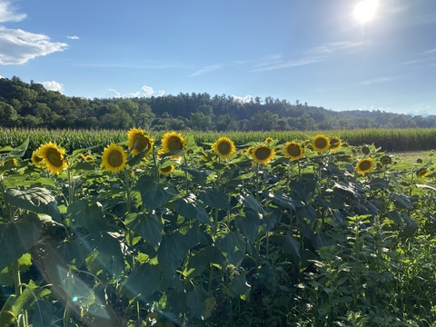 bad_madss OnlyFans - Free Access to 32 Videos & 49 Photos Onlyfans Free Access