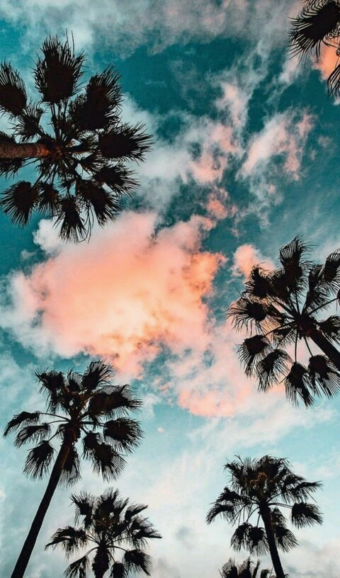 baddieprincessx OnlyFans - Free Access to 32 Videos & 49 Photos Onlyfans Free Access