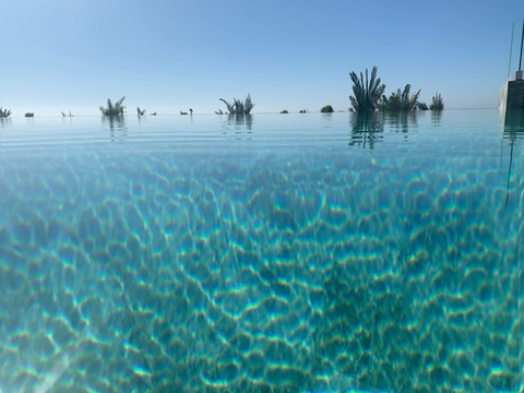 bellaalee OnlyFans - Free Access to 32 Videos & 49 Photos Onlyfans Free Access