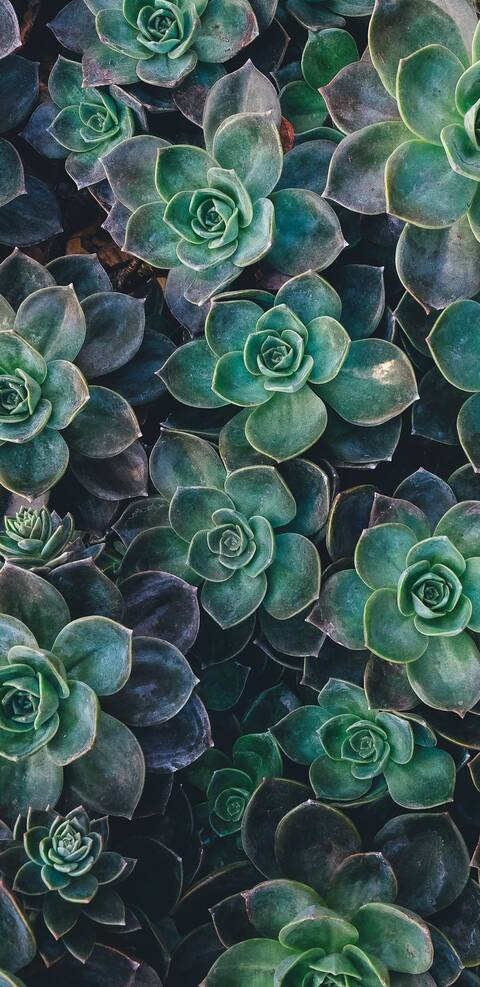 bigbootyqueen420 OnlyFans - Free Access to 32 Videos & 86 Photos Onlyfans Free Access