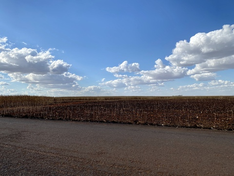 blankpsyduck OnlyFans - Free Access to 75 Videos & 192 Photos Onlyfans Free Access