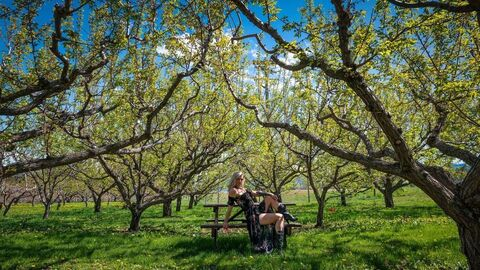 blonde_honeybuns OnlyFans - Free Access to 45 Videos & 118 Photos Onlyfans Free Access