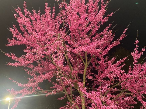 brookecdxx OnlyFans - Free Access to 32 Videos & 49 Photos Onlyfans Free Access