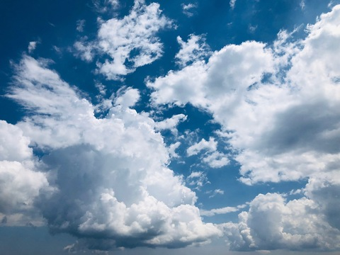 candyaprilfree OnlyFans - Free Access to 32 Videos & 49 Photos Onlyfans Free Access