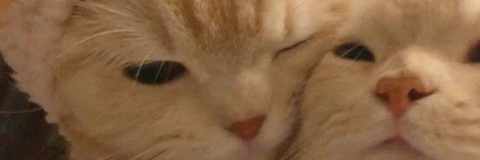 cantjinx OnlyFans - Free Access to 32 Videos & 49 Photos Onlyfans Free Access