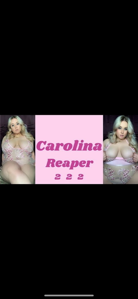 carolinequinnx OnlyFans - Free Access to 117 Videos & 424 Photos Onlyfans Free Access