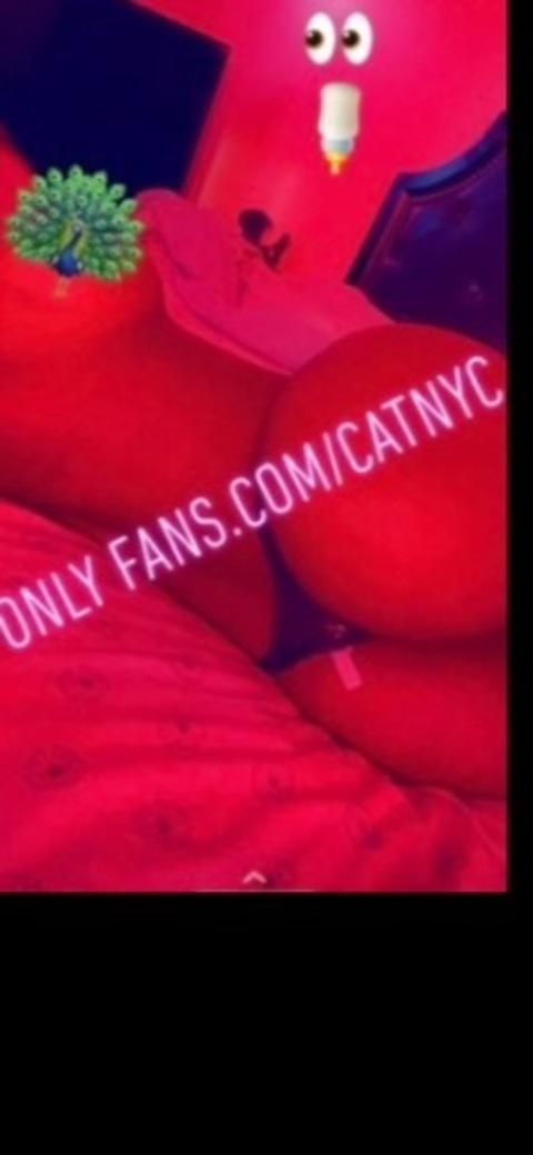 catnyc OnlyFans - Free Access to 327 Videos & 49 Photos Onlyfans Free Access