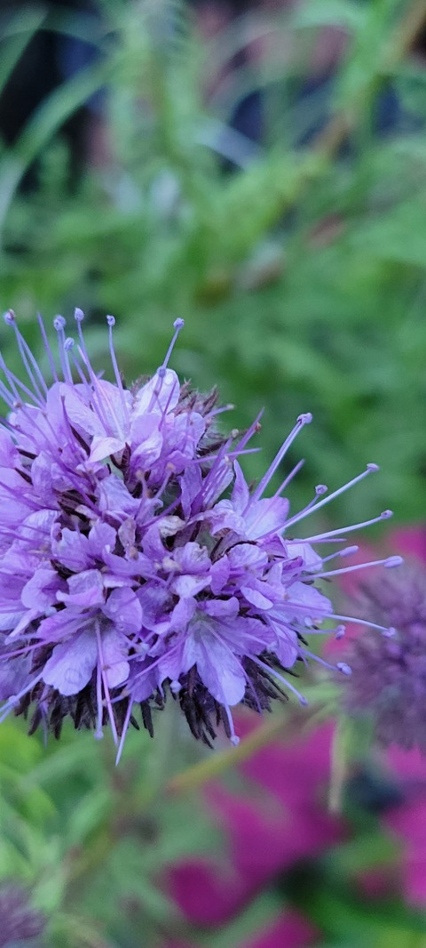 cckween OnlyFans - Free Access to 32 Videos & 49 Photos Onlyfans Free Access