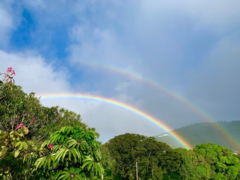 celesticularcancer OnlyFans - Free Access to 32 Videos & 49 Photos Onlyfans Free Access