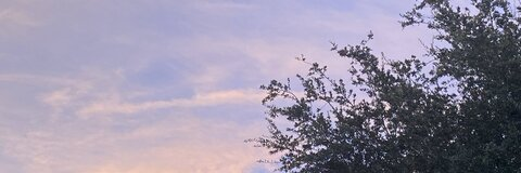 chxrryxblossom OnlyFans - Free Access to 32 Videos & 49 Photos Onlyfans Free Access