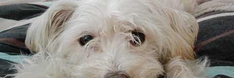 claere OnlyFans - Free Access to 32 Videos & 49 Photos Onlyfans Free Access