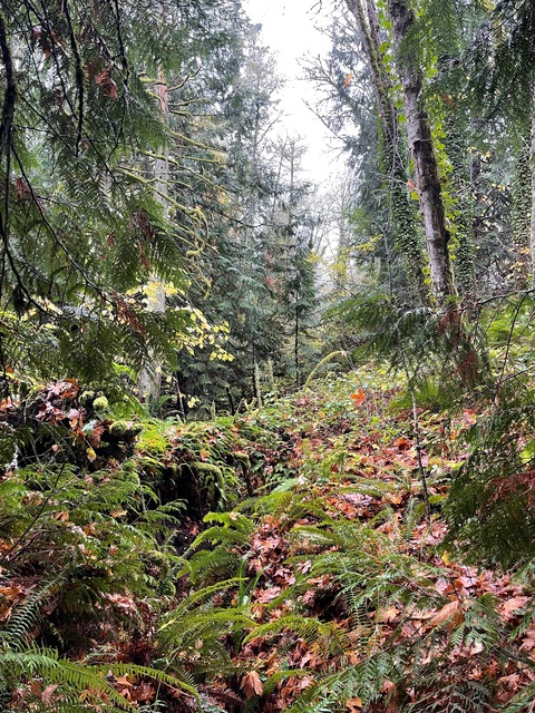 collegebro4you OnlyFans - Free Access to 375 Videos & 581 Photos Onlyfans Free Access