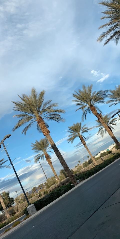 cookieem OnlyFans - Free Access to 32 Videos & 49 Photos Onlyfans Free Access