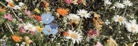 couurttt__ OnlyFans - Free Access to 32 Videos & 49 Photos Onlyfans Free Access