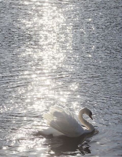 crybaby23 OnlyFans - Free Access to 32 Videos & 49 Photos Onlyfans Free Access