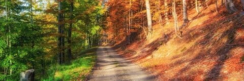 cuntnugget OnlyFans - Free Access to 32 Videos & 49 Photos Onlyfans Free Access