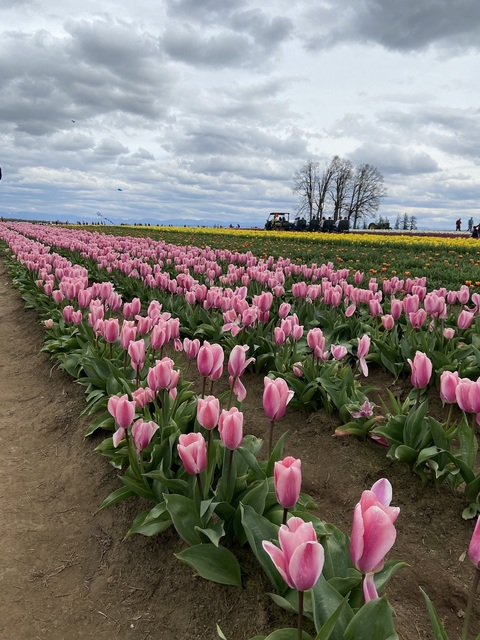 curvy-momma OnlyFans - Free Access to 32 Videos & 49 Photos Onlyfans Free Access