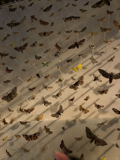 daisy0reily OnlyFans - Free Access to 32 Videos & 49 Photos Onlyfans Free Access