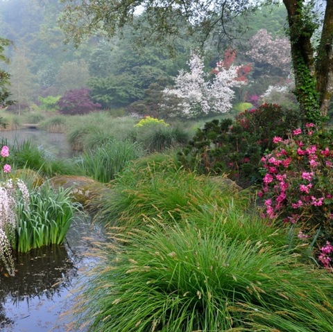 desiredxangel OnlyFans - Free Access to 45 Videos & 404 Photos Onlyfans Free Access