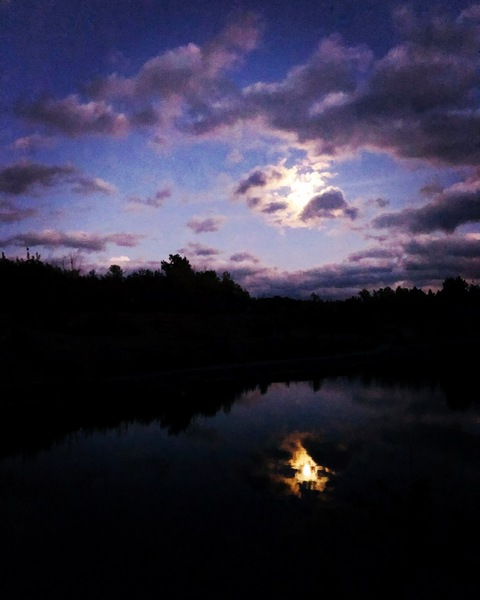 drewverse OnlyFans - Free Access to 32 Videos & 49 Photos Onlyfans Free Access