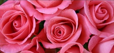 dulcevenenoxo OnlyFans - Free Access to 32 Videos & 49 Photos Onlyfans Free Access