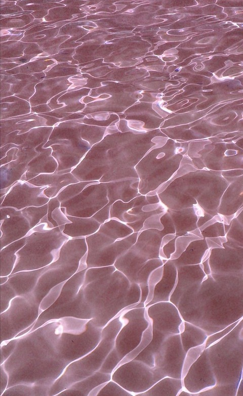 elvira.hauntly OnlyFans - Free Access to 32 Videos & 74 Photos Onlyfans Free Access