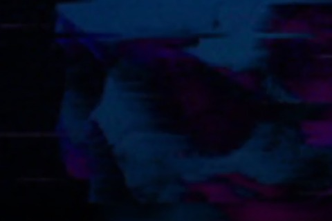 emelinax OnlyFans - Free Access to 32 Videos & 49 Photos Onlyfans Free Access