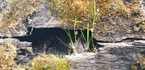 energizerhunny OnlyFans - Free Access to 32 Videos & 49 Photos Onlyfans Free Access