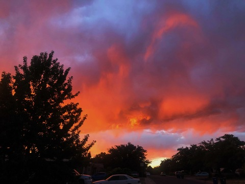 englishrosie OnlyFans - Free Access to 32 Videos & 49 Photos Onlyfans Free Access