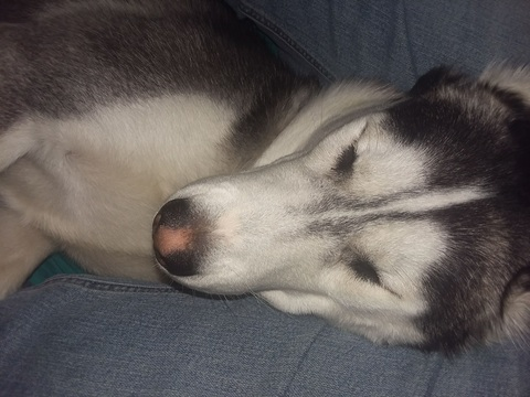 farmboy769 OnlyFans - Free Access to 32 Videos & 49 Photos Onlyfans Free Access