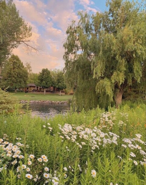 fluerrr OnlyFans - Free Access to 32 Videos & 54 Photos Onlyfans Free Access