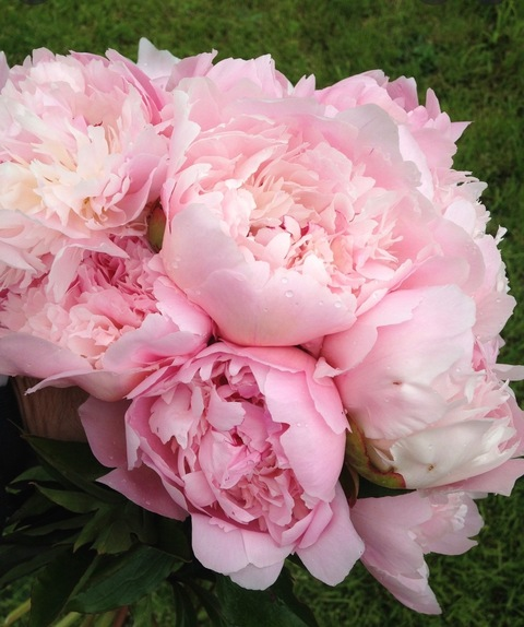 foxy-roxxy OnlyFans - Free Access to 32 Videos & 49 Photos Onlyfans Free Access