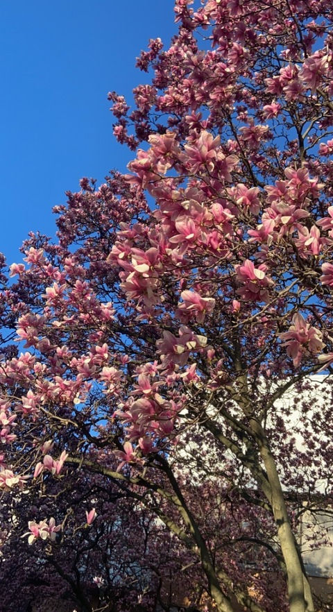 ghosthoneybunny OnlyFans - Free Access to 32 Videos & 49 Photos Onlyfans Free Access